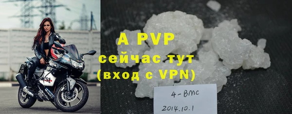 крисы Медвежьегорск