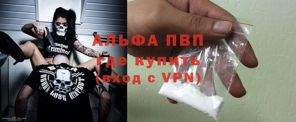 твердый Магас