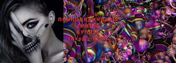 твердый Магас
