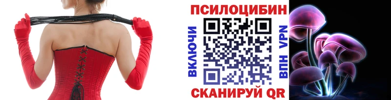 ОМГ ОМГ ССЫЛКА  Элиста  Галлюциногенные грибы мицелий  где купить наркоту 