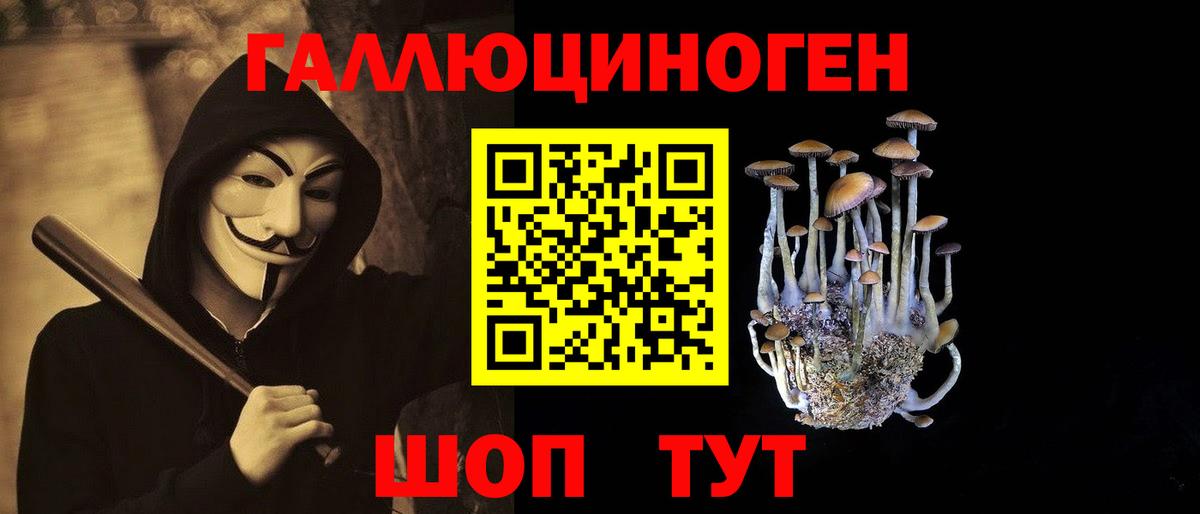 Галлюциногенные грибы MAGIC MUSHROOMS  Псилоцибиновые грибы Psilocybe  Элиста  Вход с VPN 