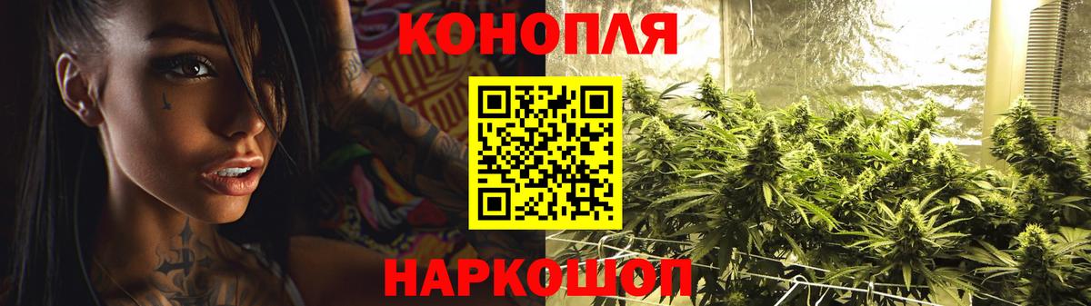 Элиста  Шишки марихуана марихуана  Вход с VPN  Конопля план  Шишки марихуана AK-47 